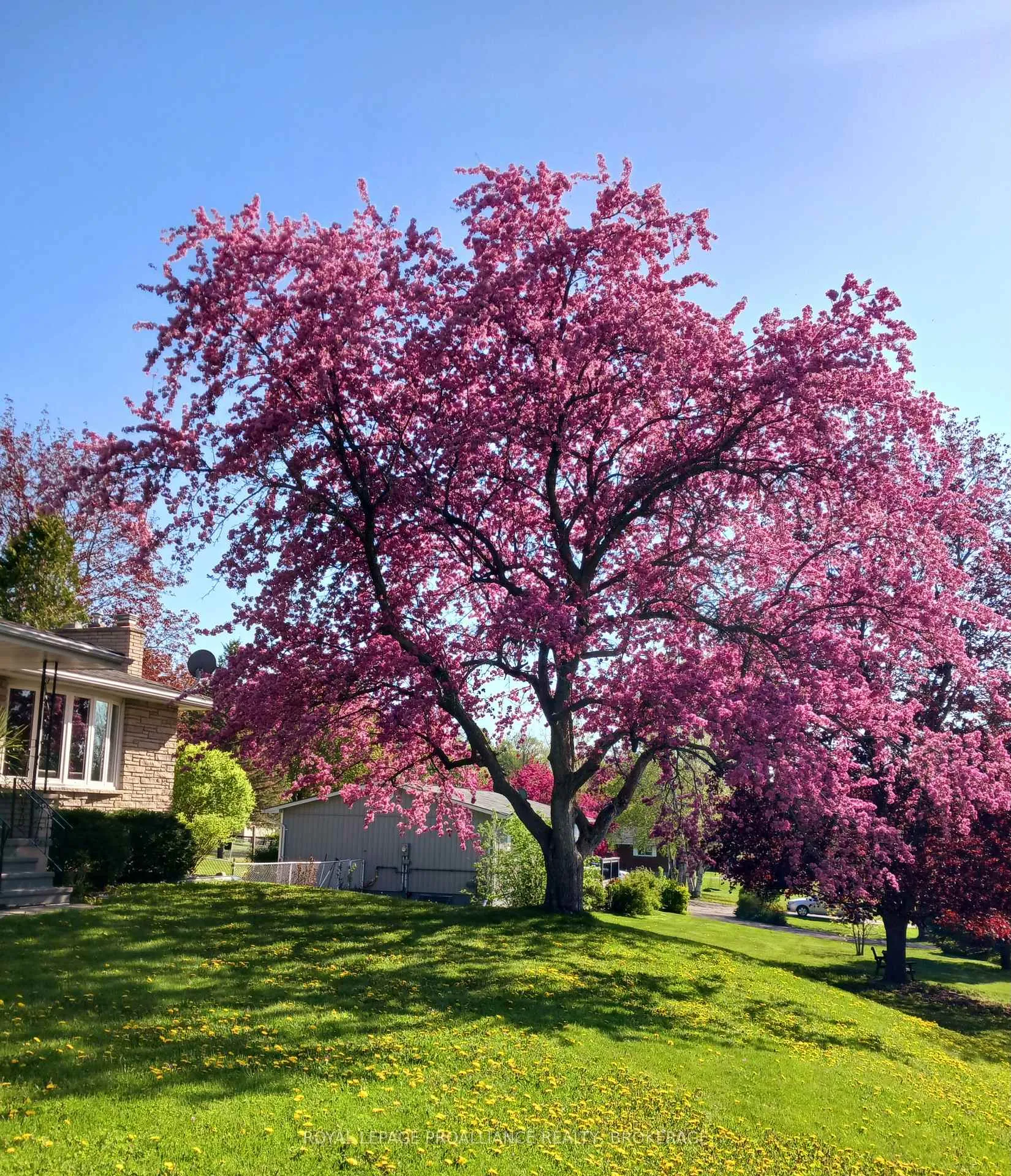 Photo 30 of 56 River Road, Greater Napanee — HOMEH