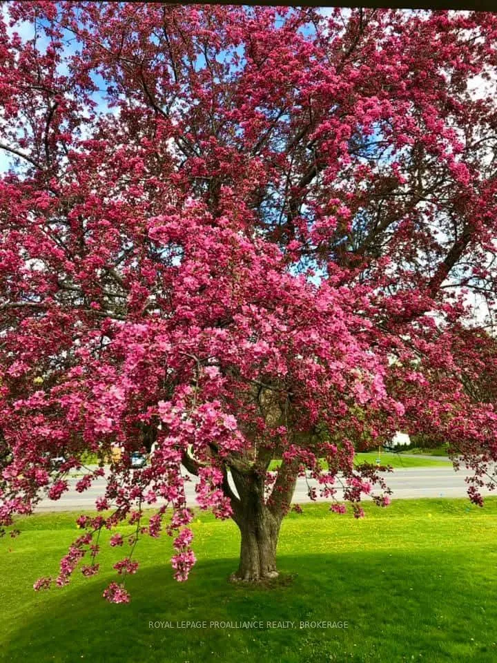Photo 35 of 56 River Road, Greater Napanee — HOMEH