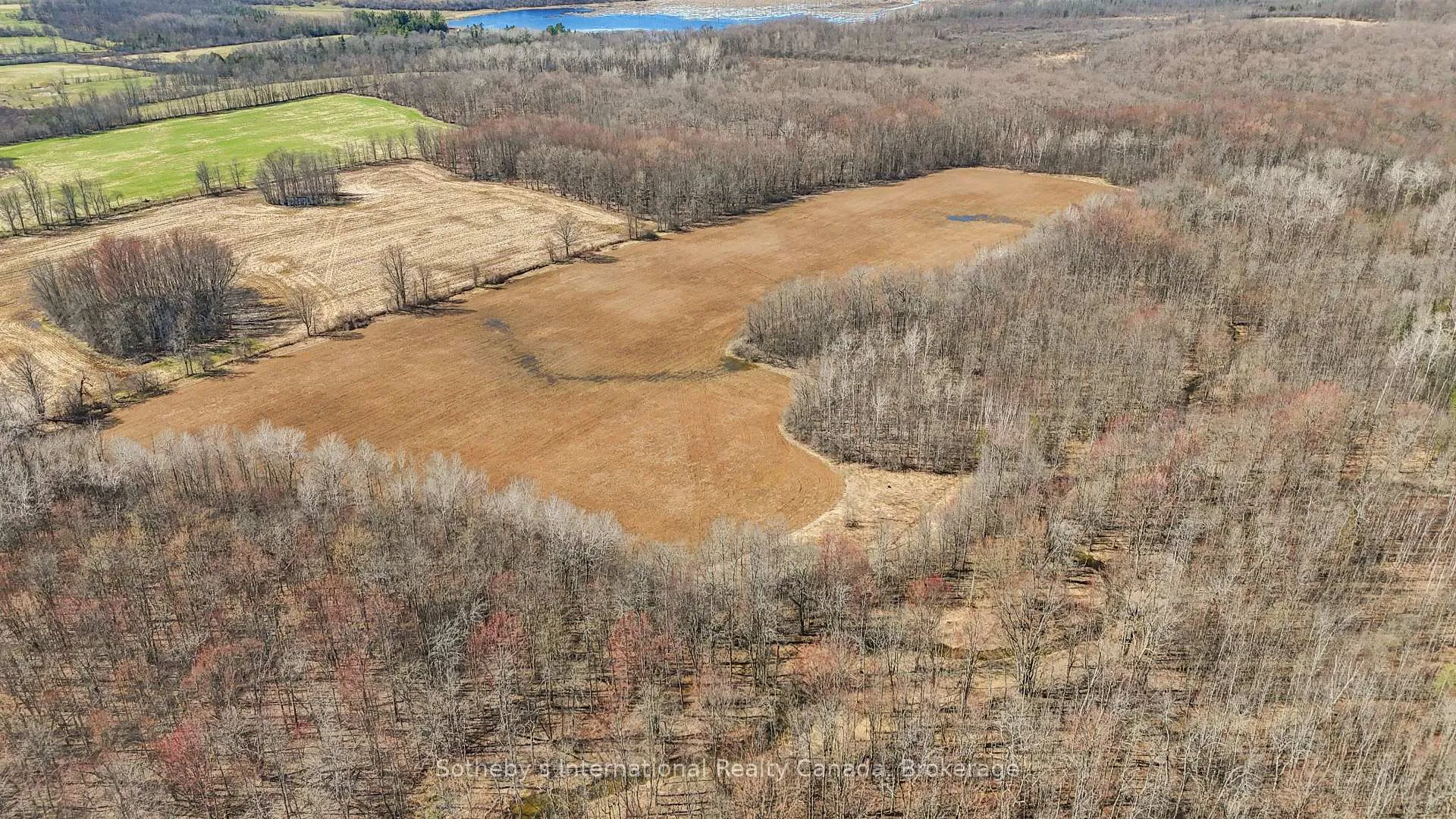 Photo 47 of 403419 Concession 20 Road, Georgian Bluffs — HOMEH