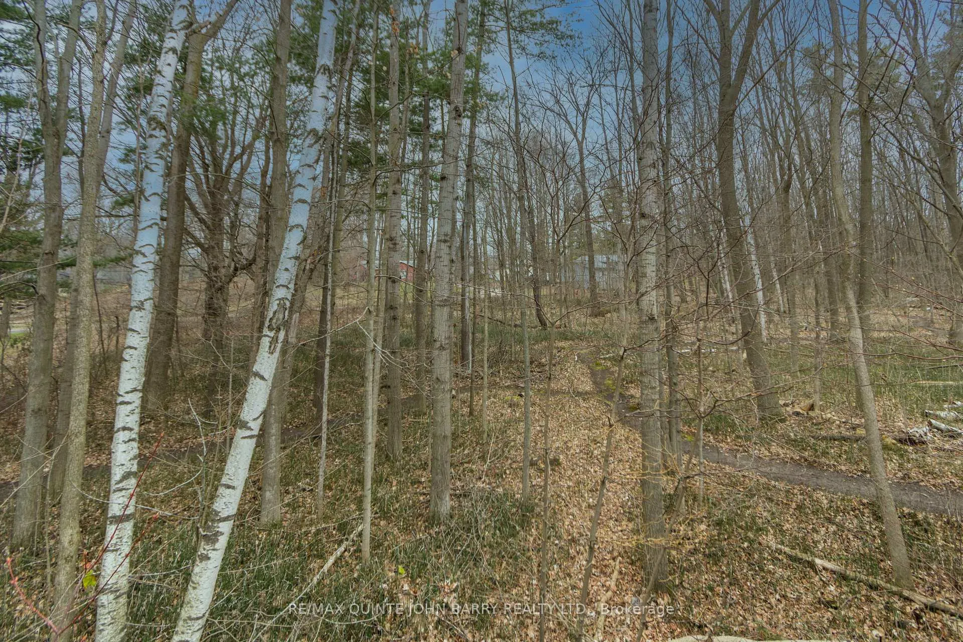 Photo 41 of 46 Twelve O'Clock Pt Road, Quinte West, Sidney Ward — HOMEH