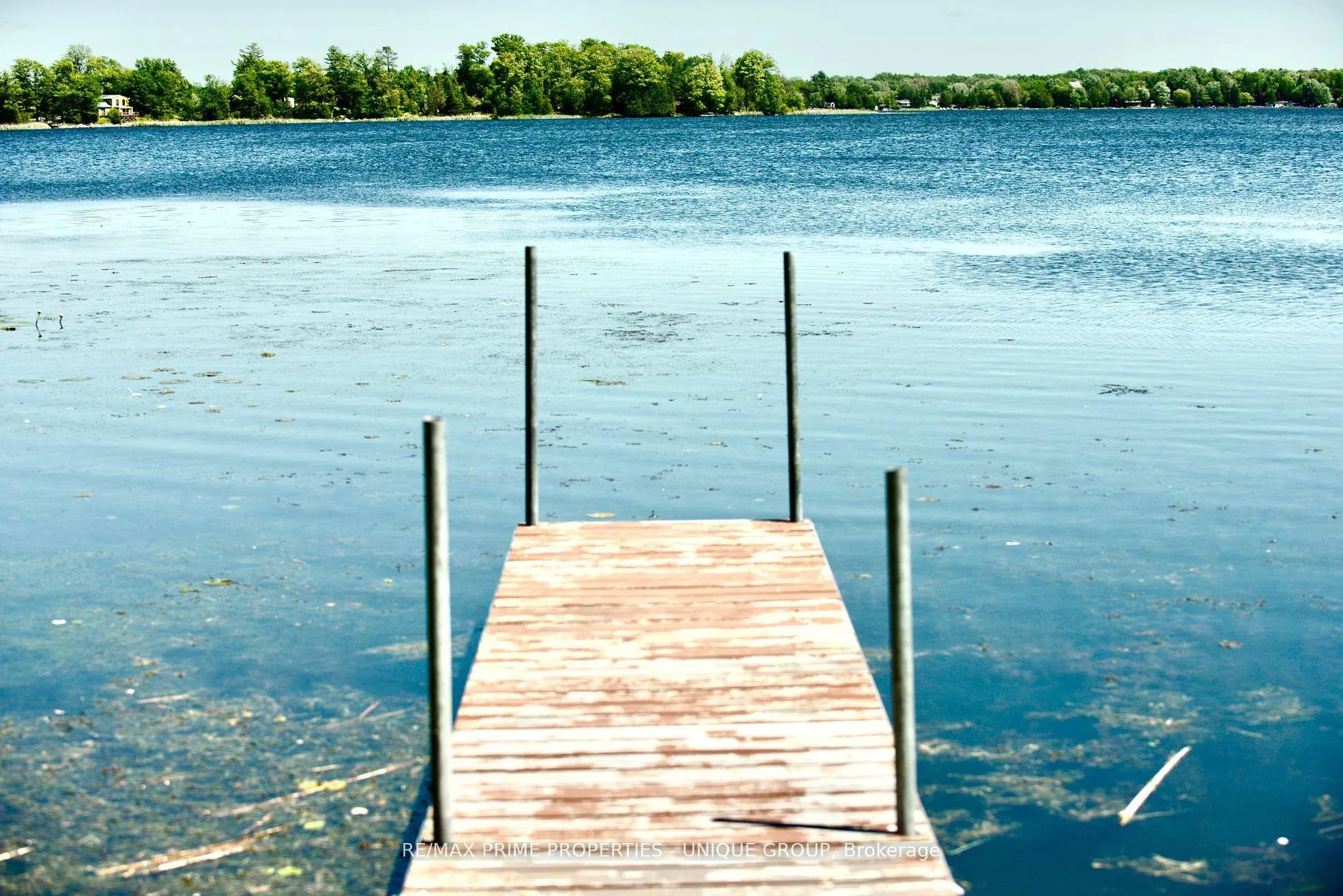 Photo 15 of 3 Lakeview Crescent, Kawartha Lakes, Emily — HOMEH