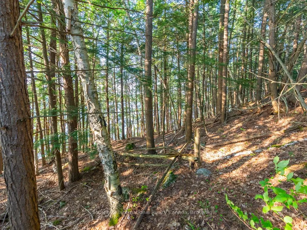 Photo 10 of Unit Lot#2, 1250 Waldmere Road, Bracebridge, Monck (Bracebridge) — HOMEH