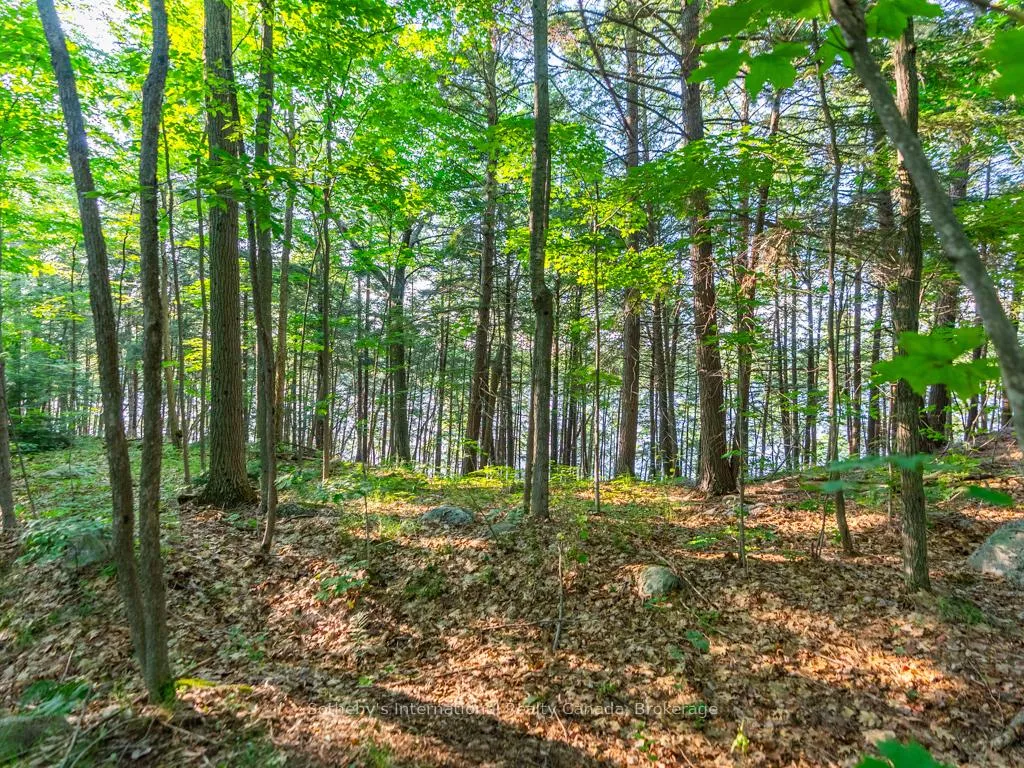 Photo 11 of Unit Lot#2, 1250 Waldmere Road, Bracebridge, Monck (Bracebridge) — HOMEH