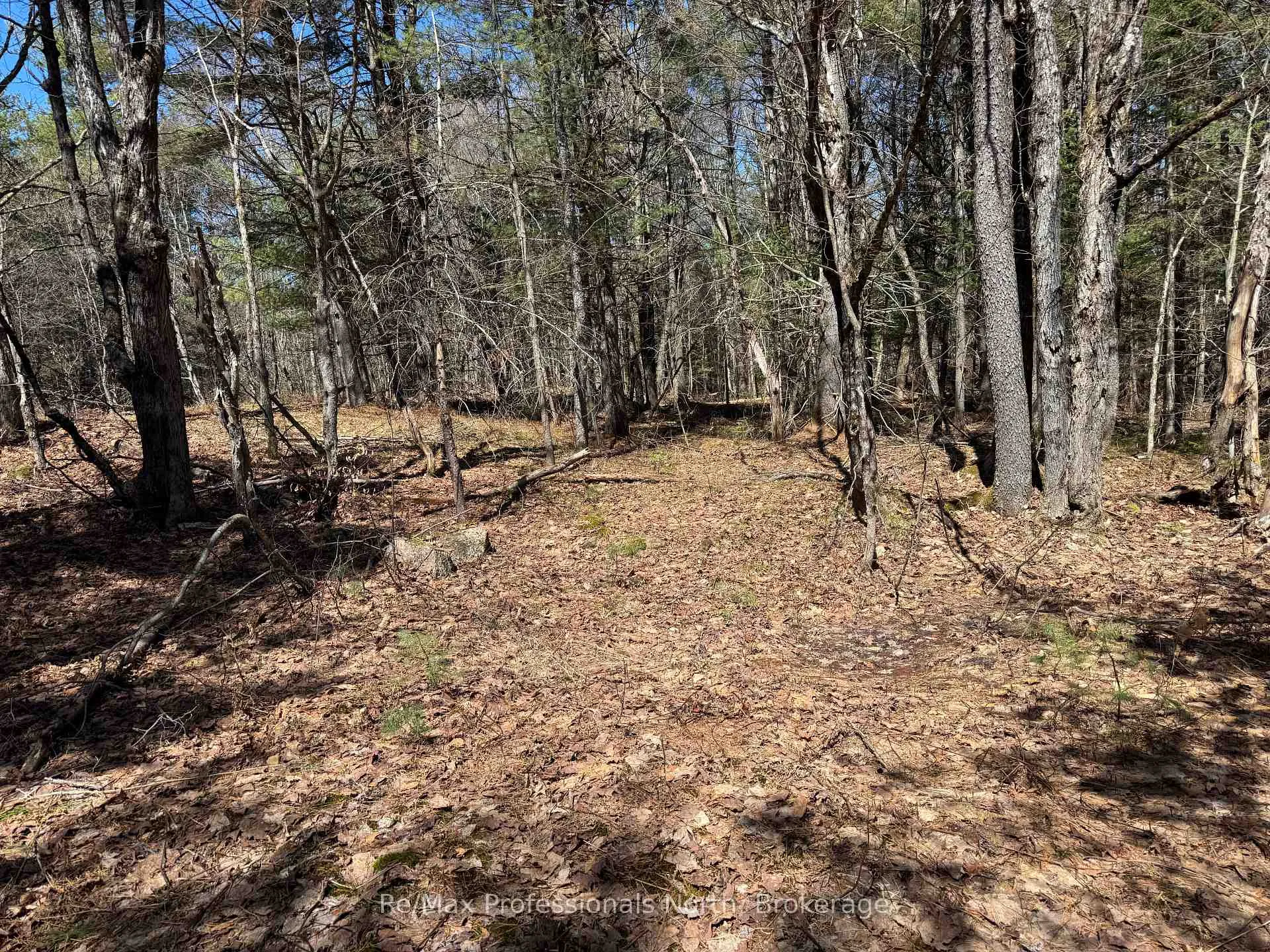 Photo 1 of Lot 15 Con 2 Draper, Bracebridge, Draper — HOMEH