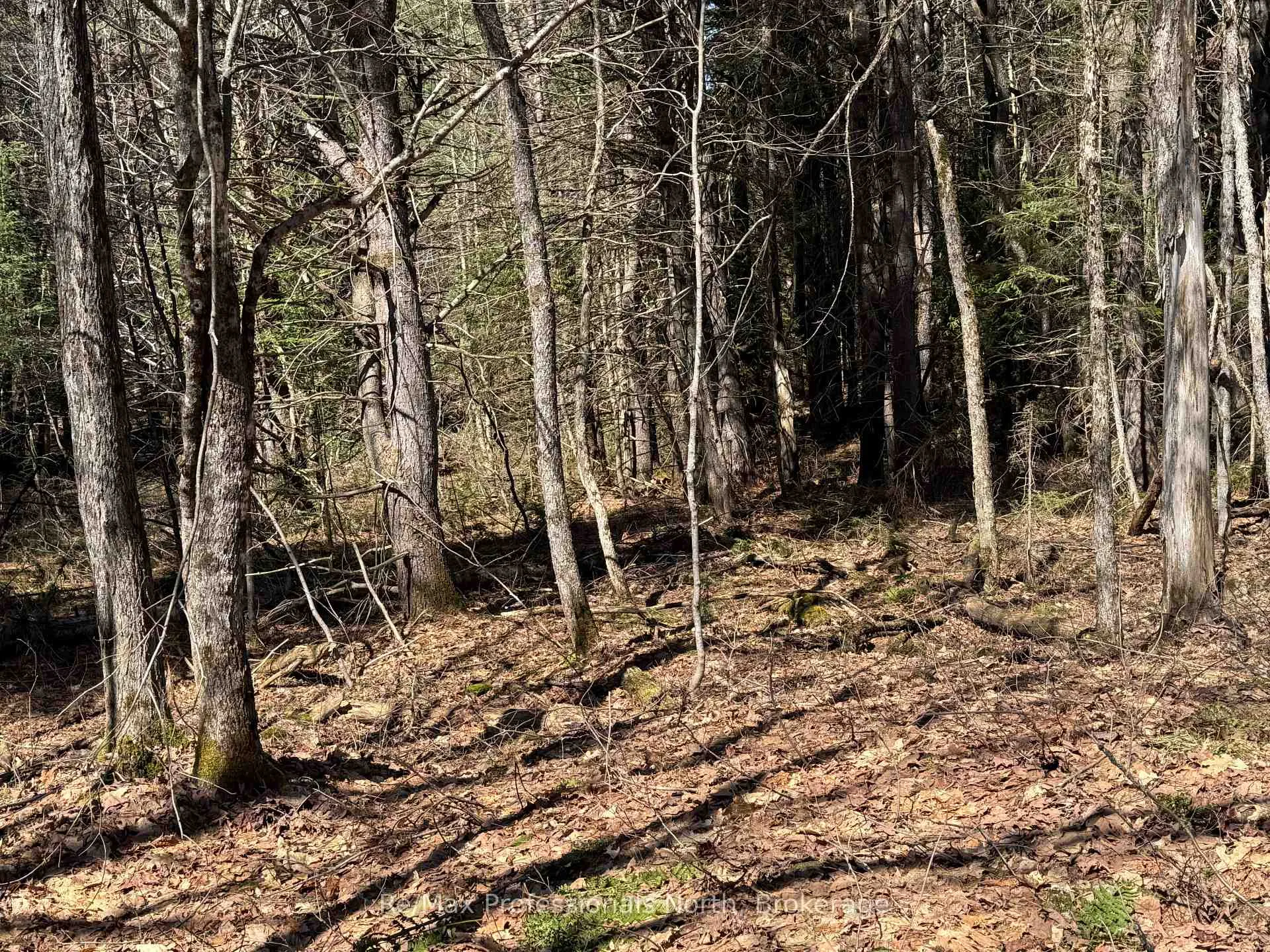 Photo 4 of Lot 15 Con 2 Draper, Bracebridge, Draper — HOMEH