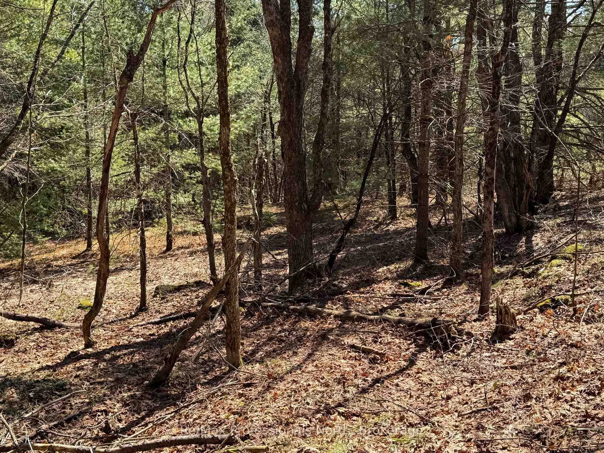 Photo 5 of Lot 15 Con 2 Draper, Bracebridge, Draper — HOMEH