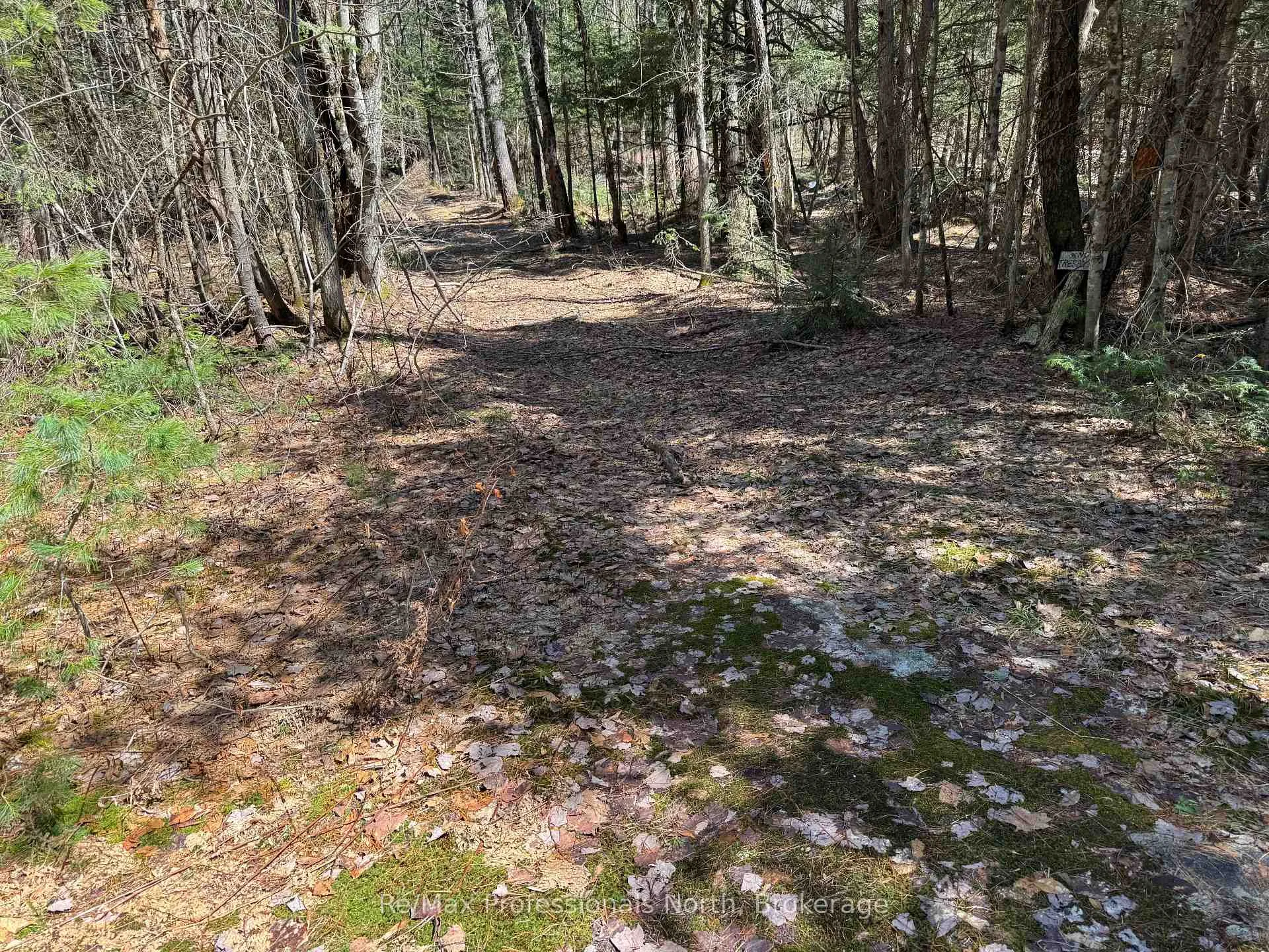 Photo 6 of Lot 15 Con 2 Draper, Bracebridge, Draper — HOMEH
