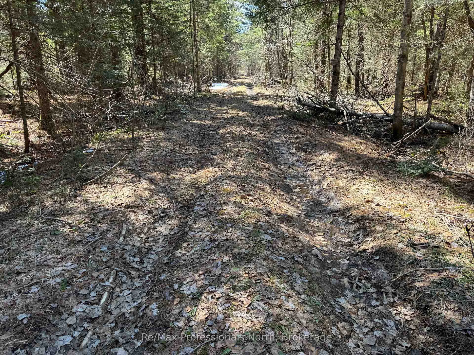 Photo 7 of Lot 15 Con 2 Draper, Bracebridge, Draper — HOMEH