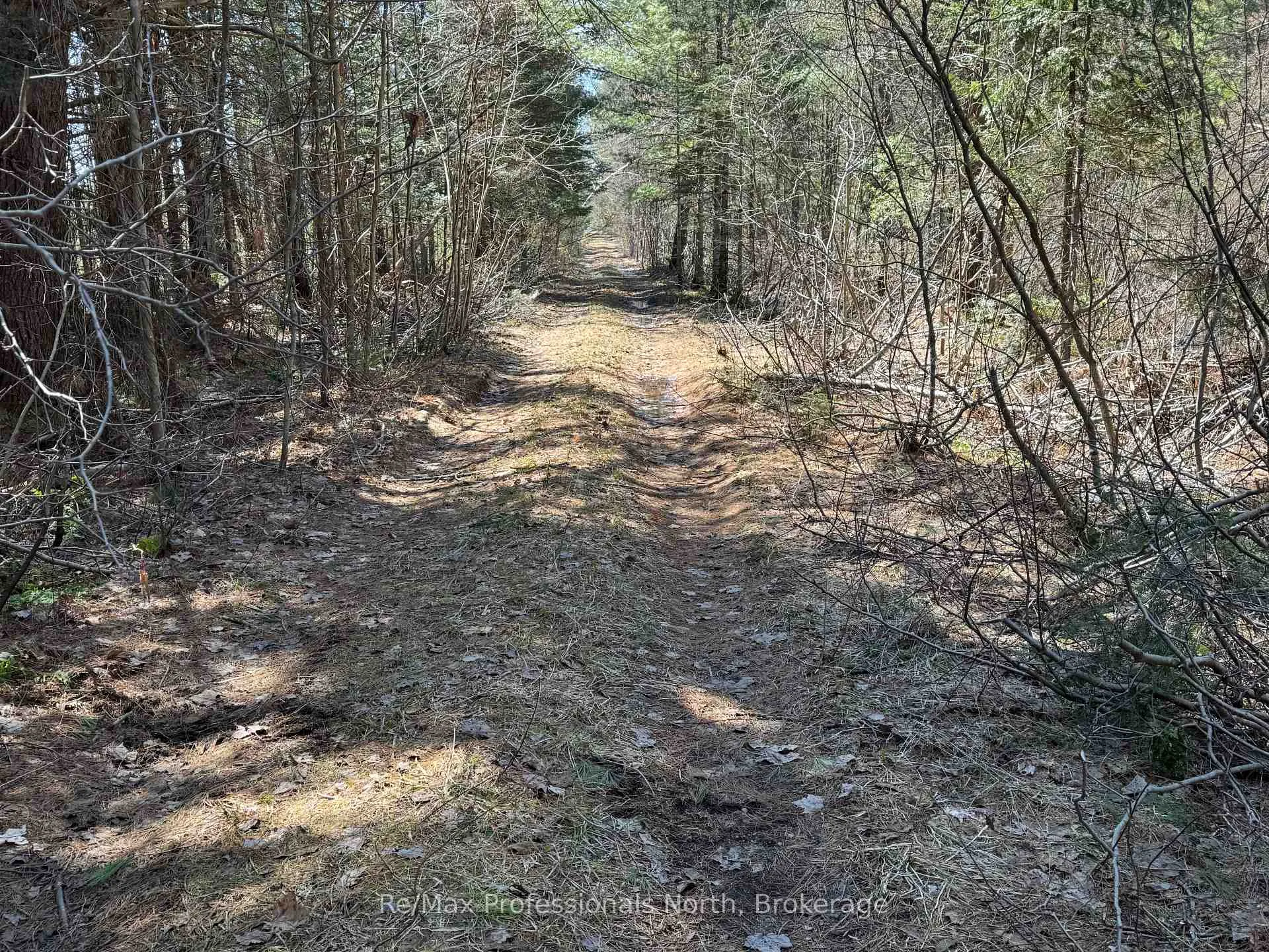 Photo 8 of Lot 15 Con 2 Draper, Bracebridge, Draper — HOMEH