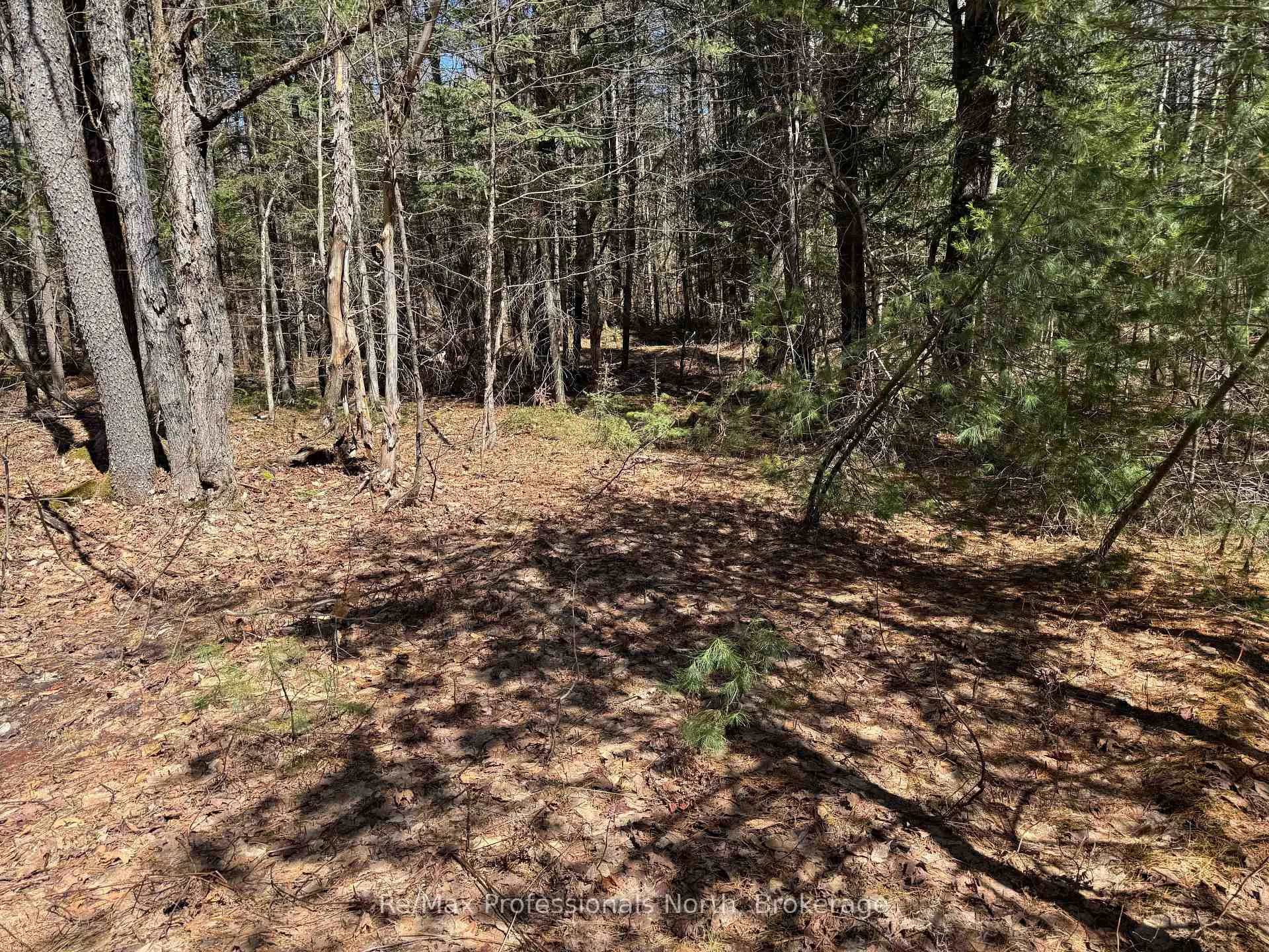 Photo 3 of Lot 16 Con 2 Draper, Bracebridge, Draper — HOMEH