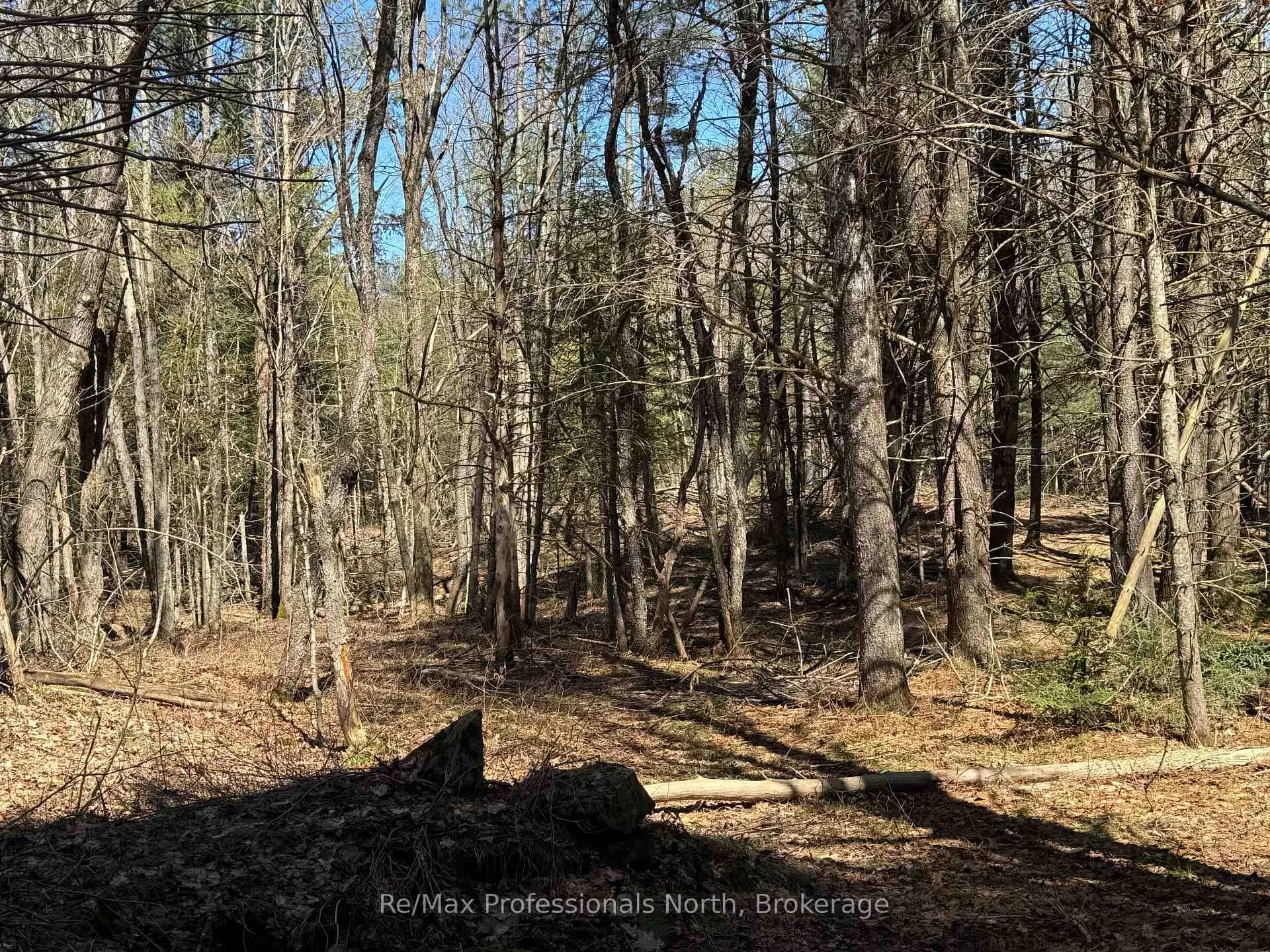Photo 4 of Lot 16 Con 2 Draper, Bracebridge, Draper — HOMEH