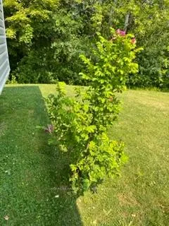 Photo 36 of 34 Jane Street, Oro-Medonte, Rural Oro-Medonte — HOMEH