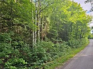 Photo 20 of LOT 184 Alsace Road, Nipissing — HOMEH