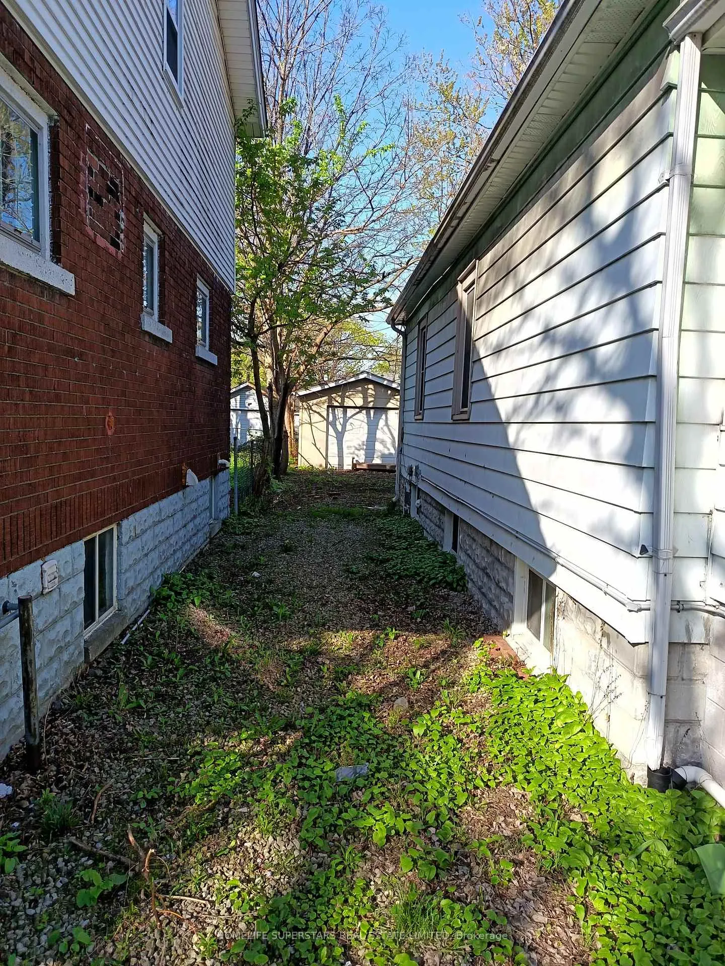 Photo 7 of 739 Campbell Avenue, Windsor, Windsor University District — HOMEH