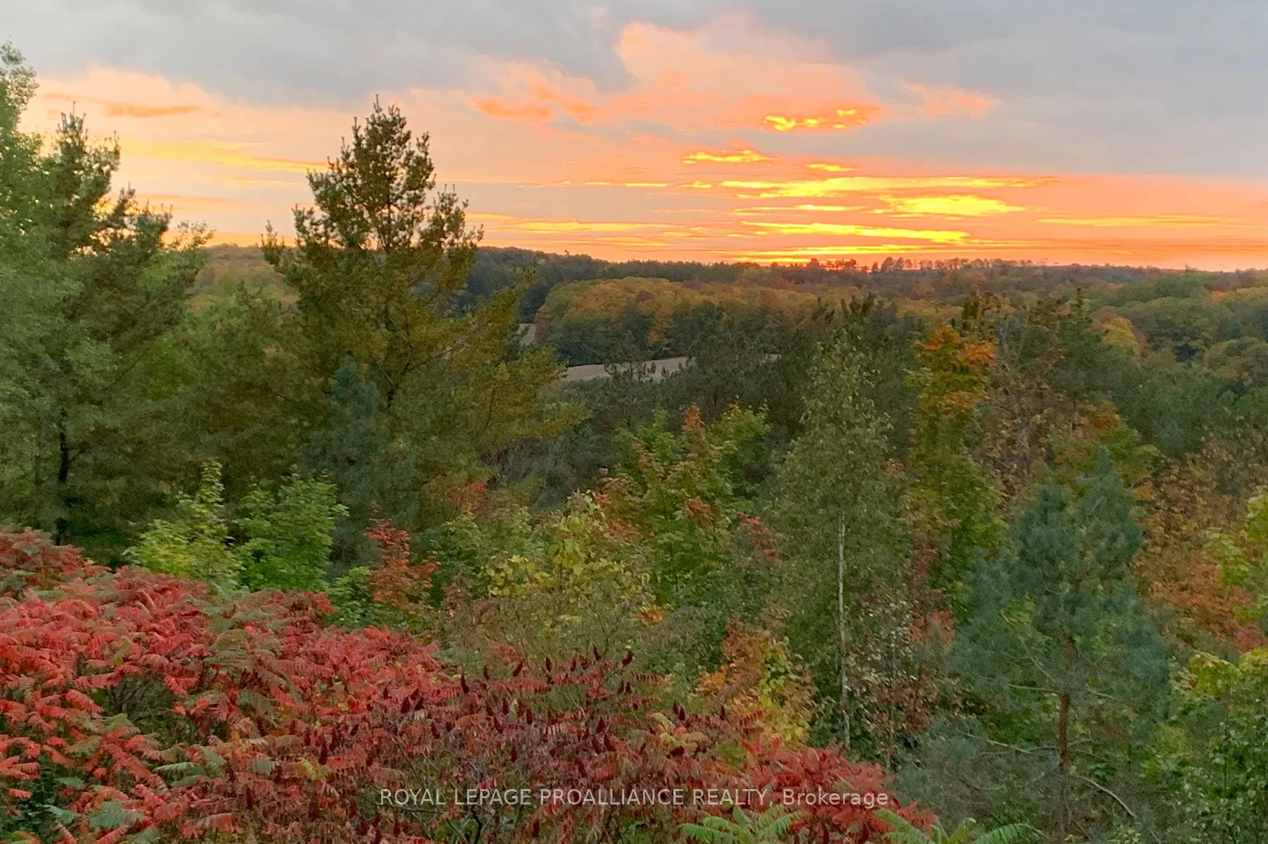 Photo 8 of 849 Bland Line, Cavan Monaghan, Cavan Twp — HOMEH