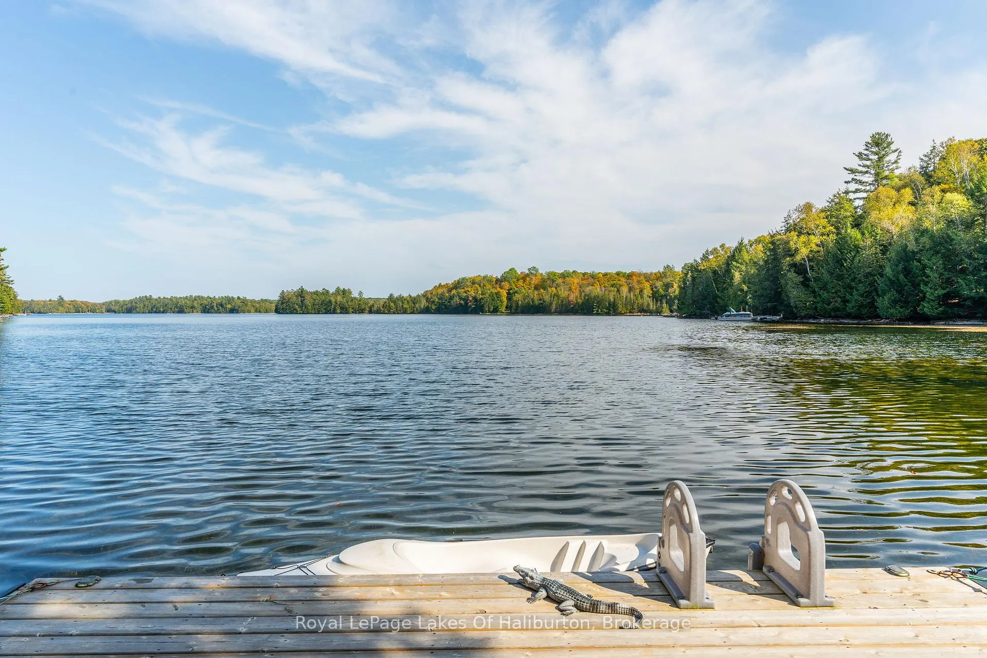 Photo 8 of 127 Russell Drive, Trent Lakes — HOMEH