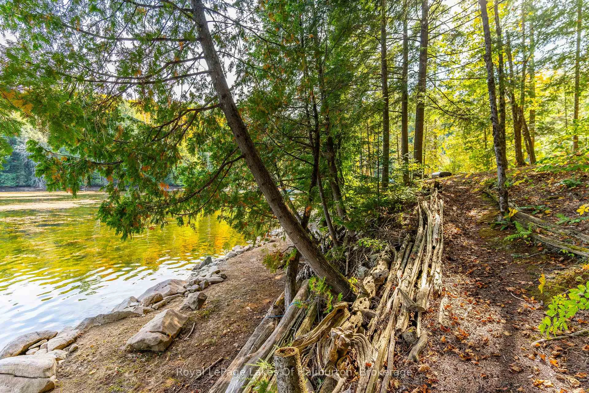Photo 39 of 127 Russell Drive, Trent Lakes — HOMEH