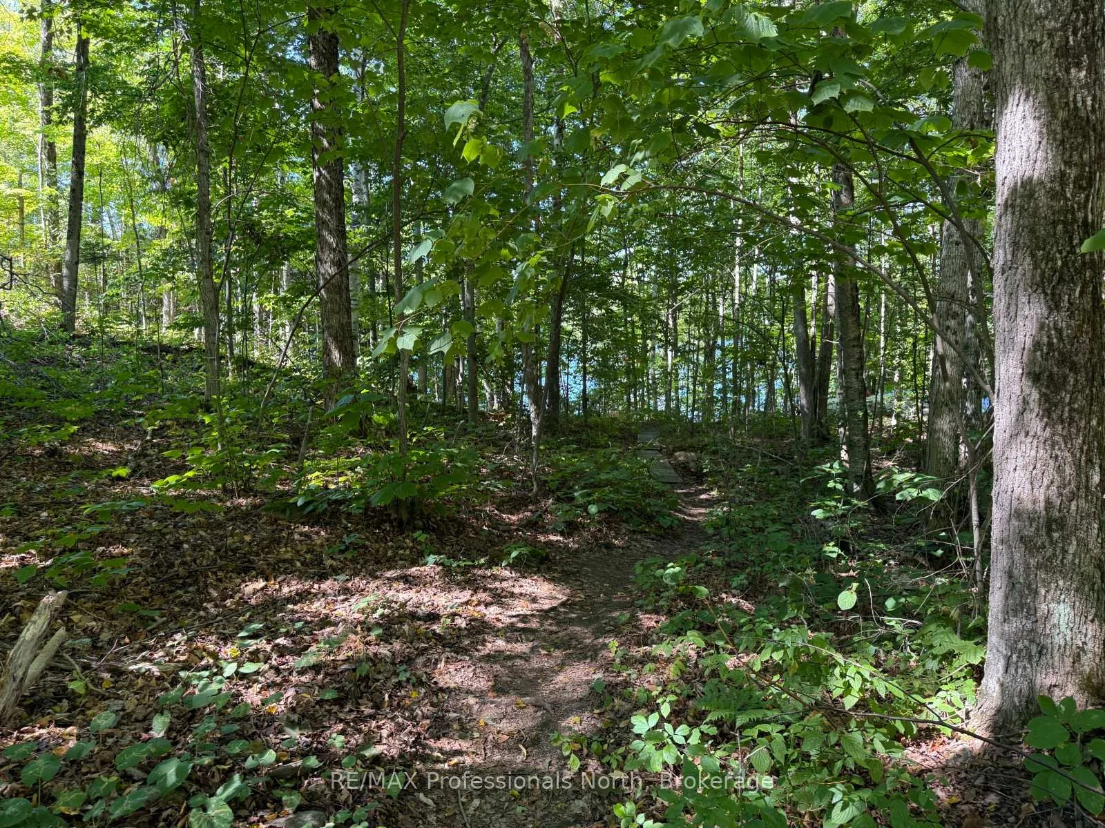 Photo 23 of 1025 Manitou Road, Minden Hills, Lutterworth — HOMEH