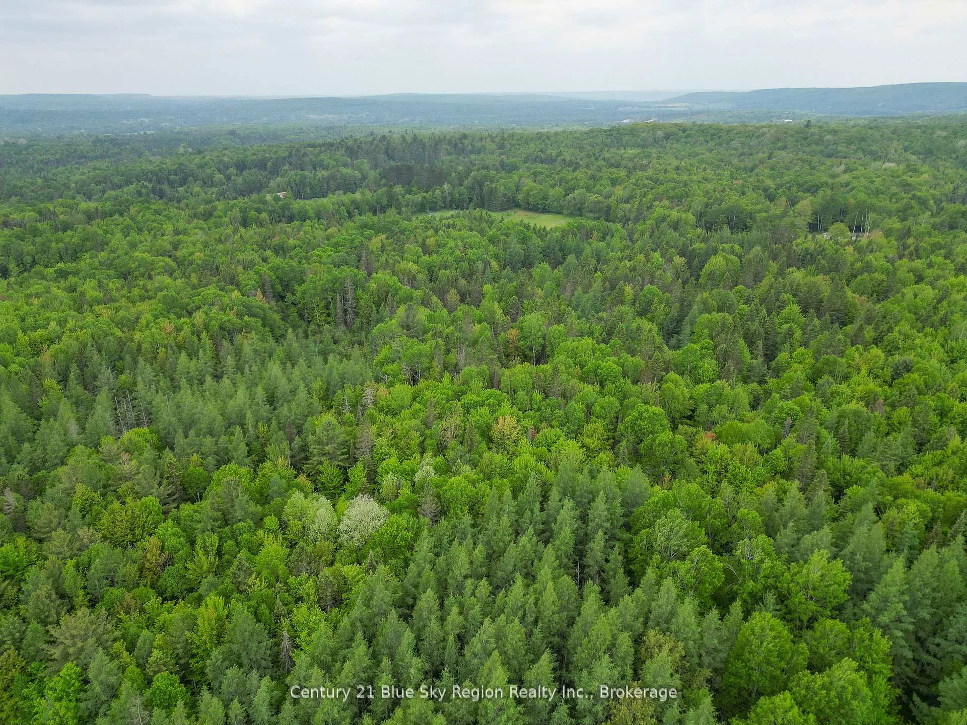 Photo of 471 Weiler Line