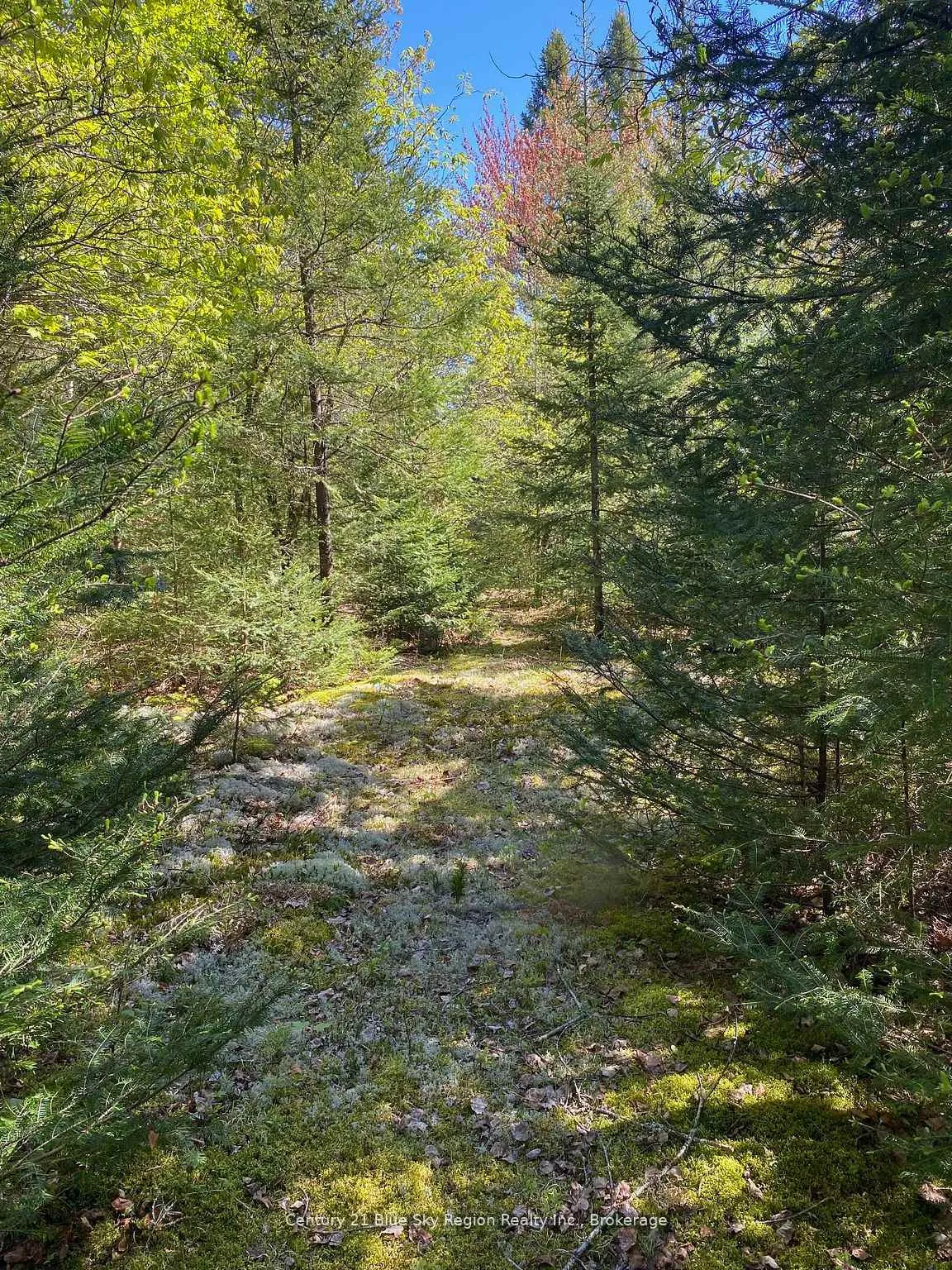 Photo 14 of 471 Weiler Line, Powassan — HOMEH