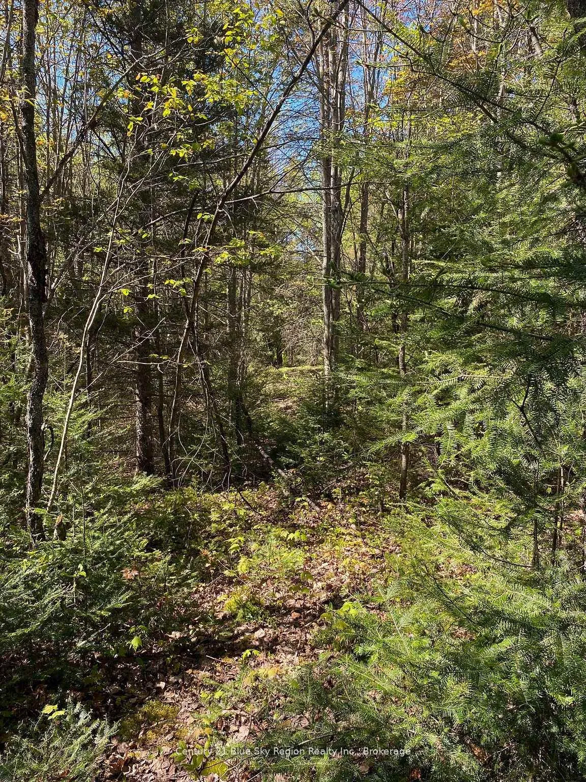 Photo 17 of 471 Weiler Line, Powassan — HOMEH