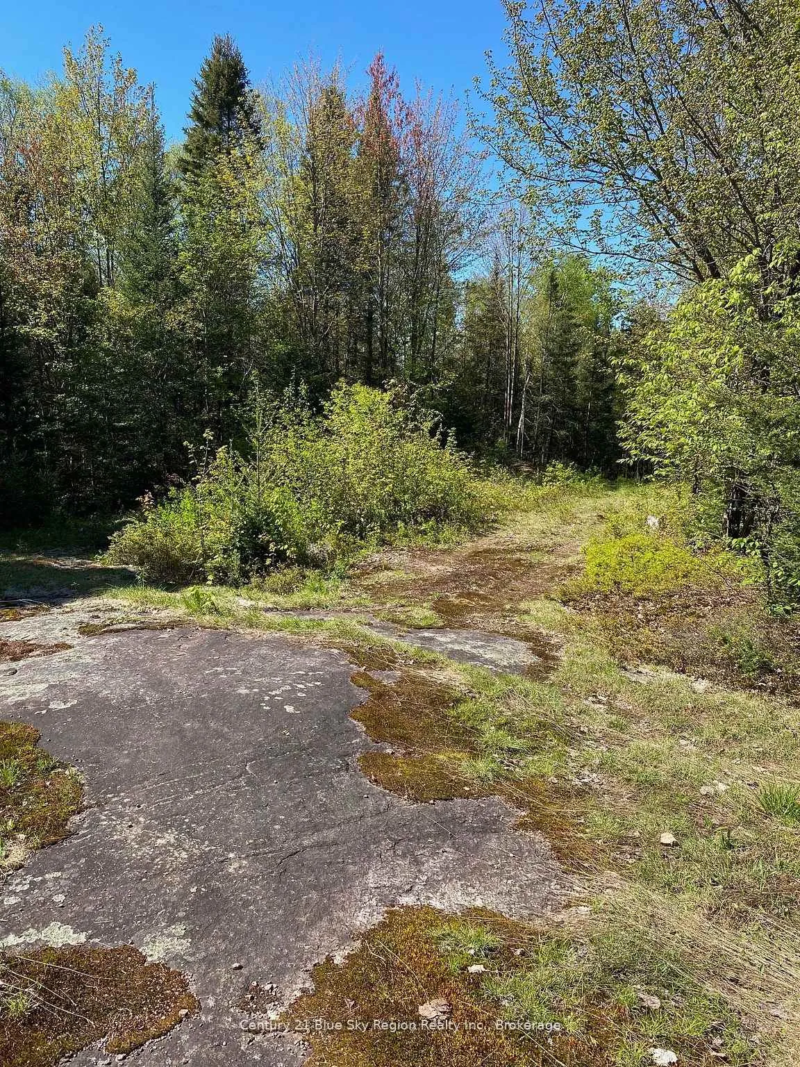 Photo 21 of 471 Weiler Line, Powassan — HOMEH