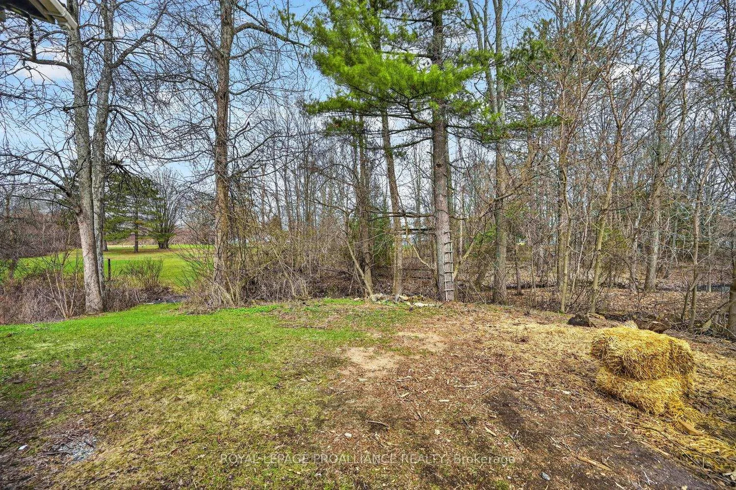Photo 33 of 8100 Amelia Street, Augusta, Augusta Twp — HOMEH