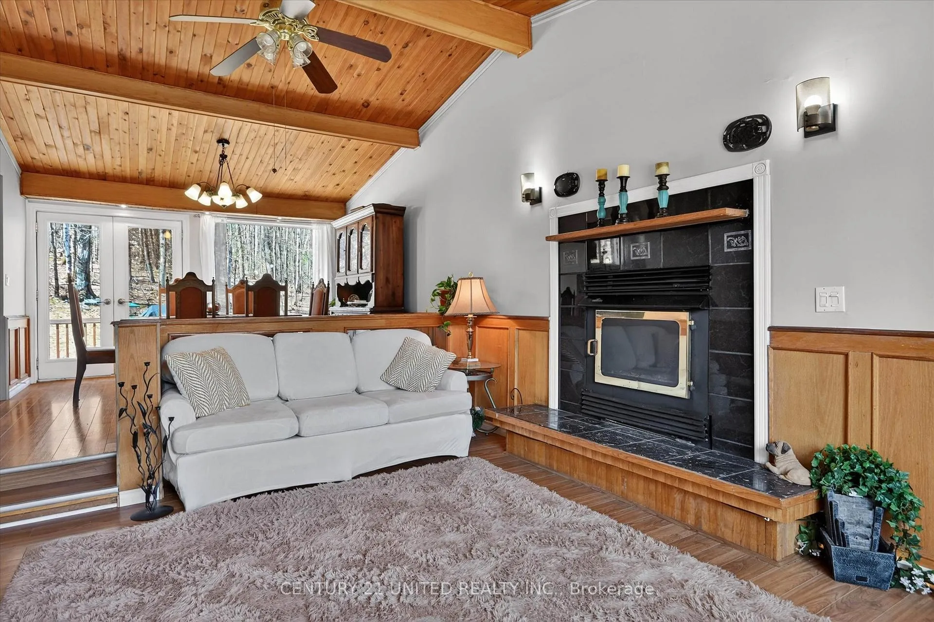Photo 3 of 223 Clark Lake Road, Bancroft, Dungannon Ward — HOMEH