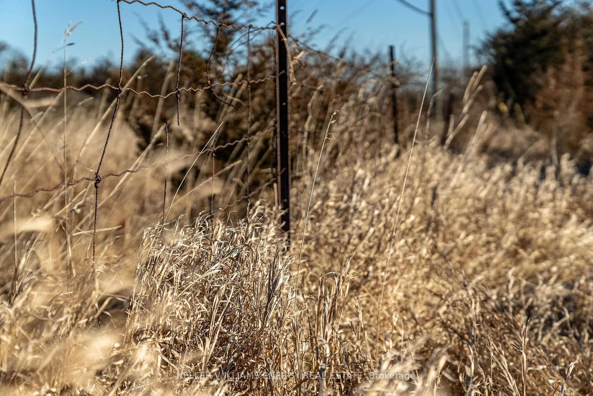 Photo 2 of County Road 7, Prince Edward County, North Marysburg Ward — HOMEH