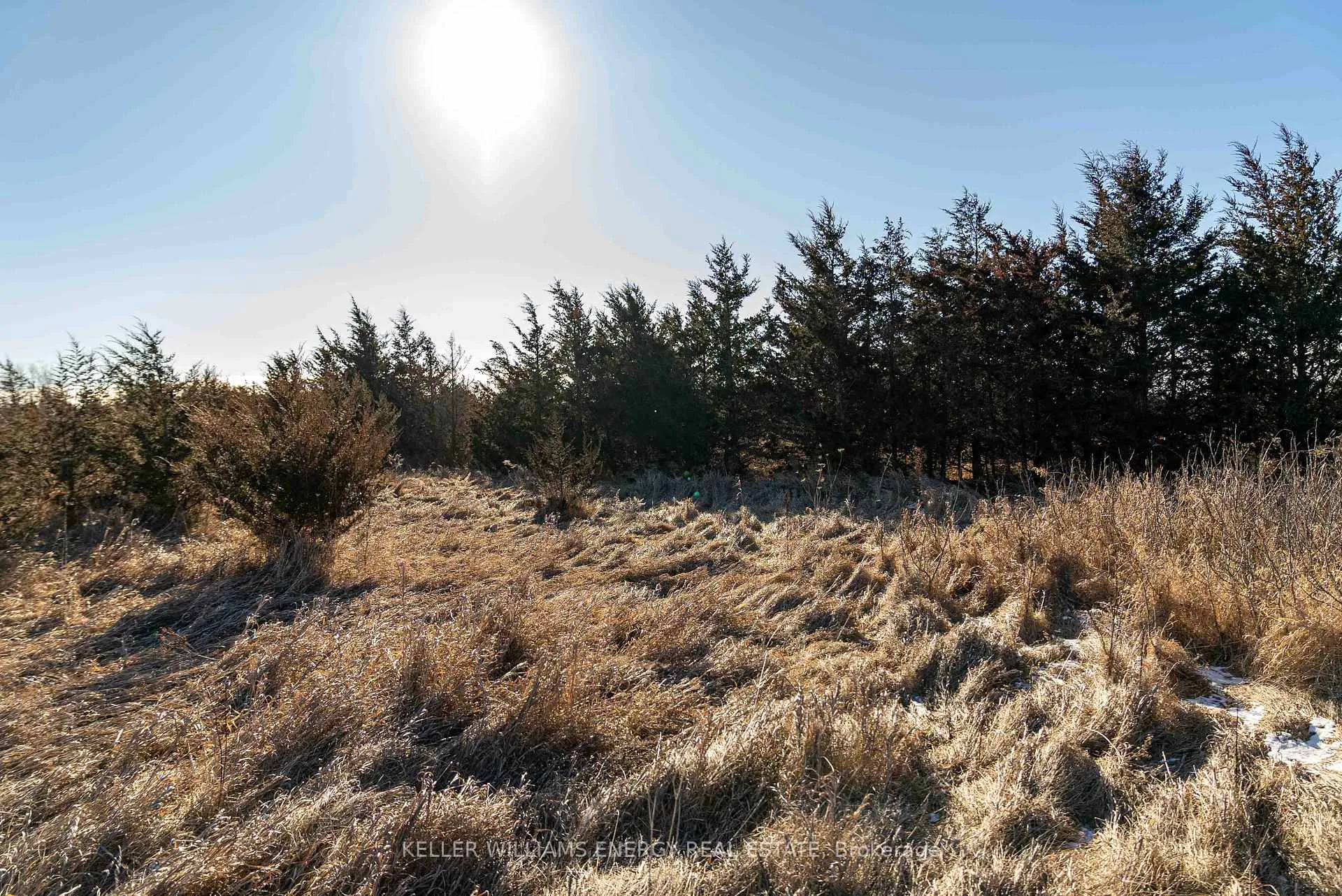 Photo 3 of County Road 7, Prince Edward County, North Marysburg Ward — HOMEH
