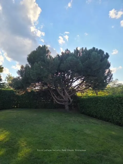 Photo 36 of 14 Jeremy Place, Brampton, Northgate — HOMEH