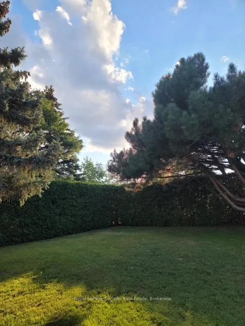 Photo 37 of 14 Jeremy Place, Brampton, Northgate — HOMEH