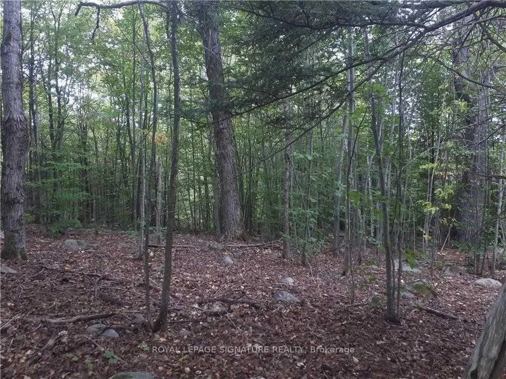 Photo 12 of 2800 Ardoch Road, Frontenac, Frontenac North — HOMEH
