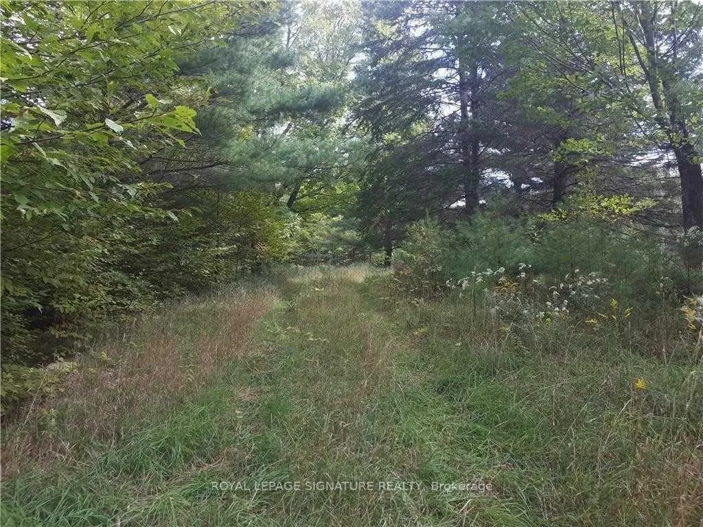 Photo 14 of 2800 Ardoch Road, Frontenac, Frontenac North — HOMEH