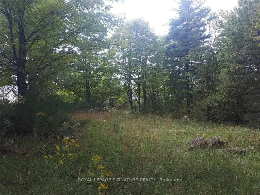 Photo 15 of 2800 Ardoch Road, Frontenac, Frontenac North — HOMEH