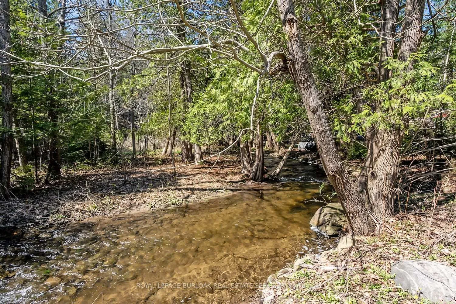 Photo 34 of 6099 Cedar Grove, Burlington, Rural Burlington — HOMEH