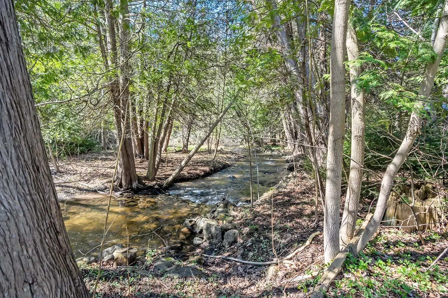 Photo 35 of 6099 Cedar Grove, Burlington, Rural Burlington — HOMEH
