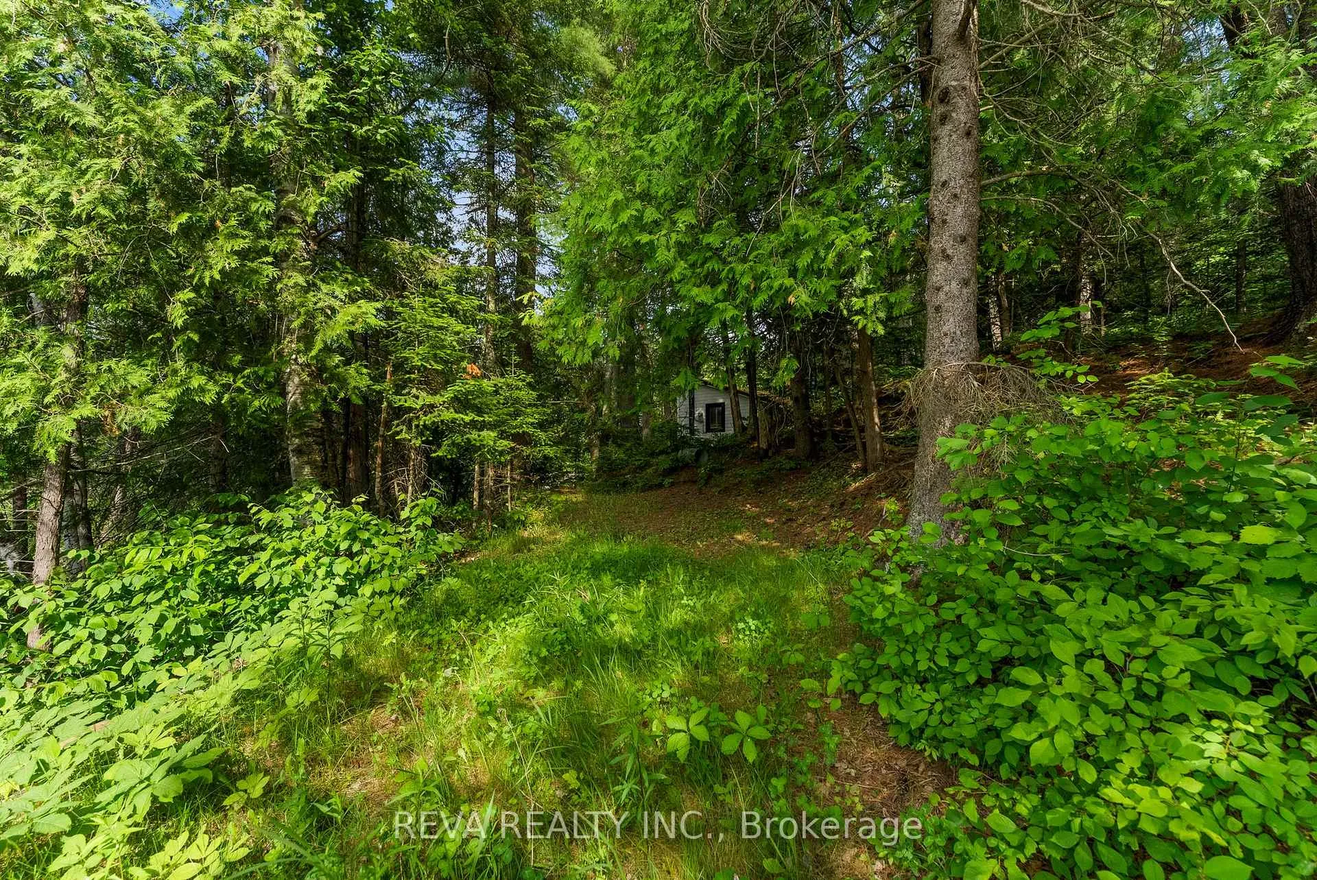 Photo 10 of 35532 Highway 28, Carlow/Mayo, Mayo Ward — HOMEH
