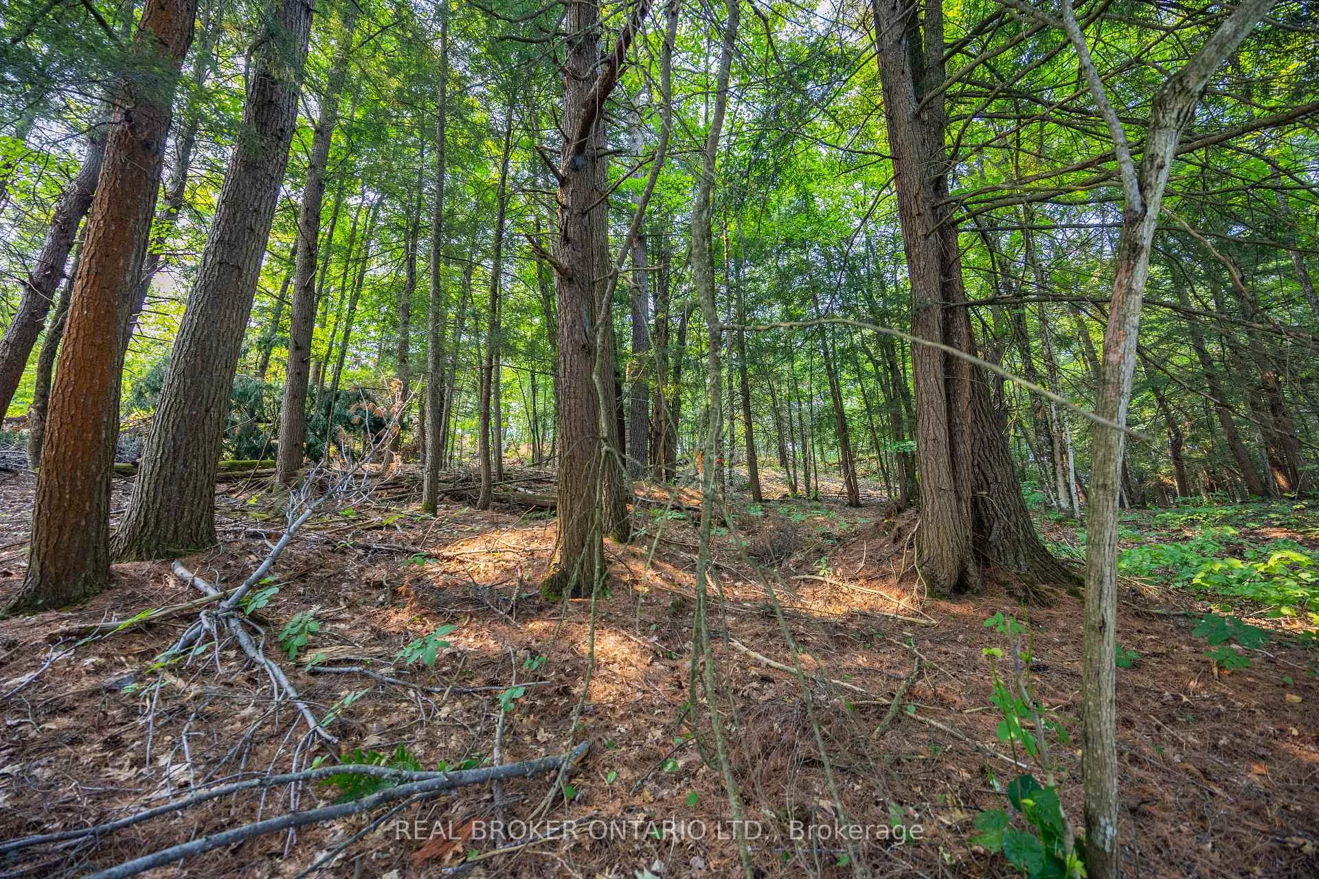 Photo 12 of Lot 13 4 Wheel Drive, Gravenhurst, Wood (Gravenhurst) — HOMEH
