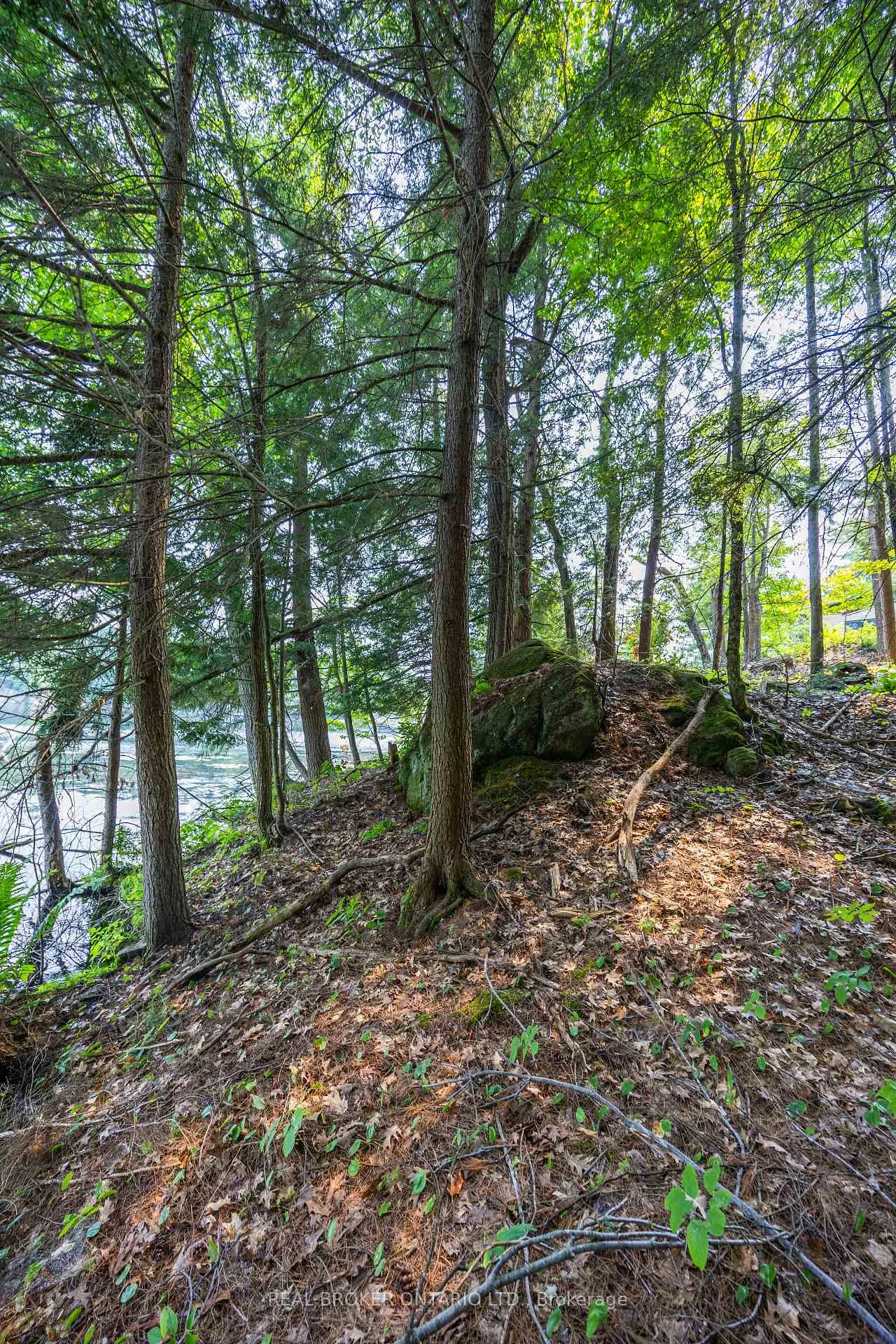 Photo 13 of Lot 13 4 Wheel Drive, Gravenhurst, Wood (Gravenhurst) — HOMEH