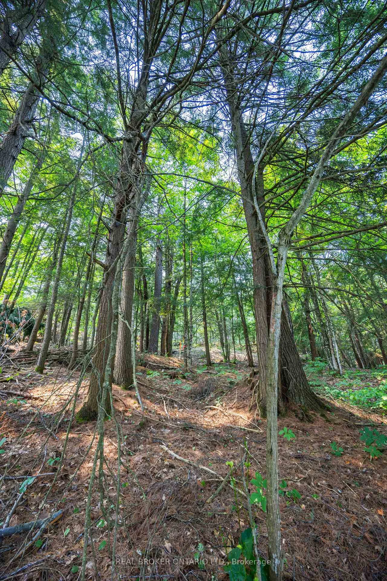 Photo 14 of Lot 13 4 Wheel Drive, Gravenhurst, Wood (Gravenhurst) — HOMEH