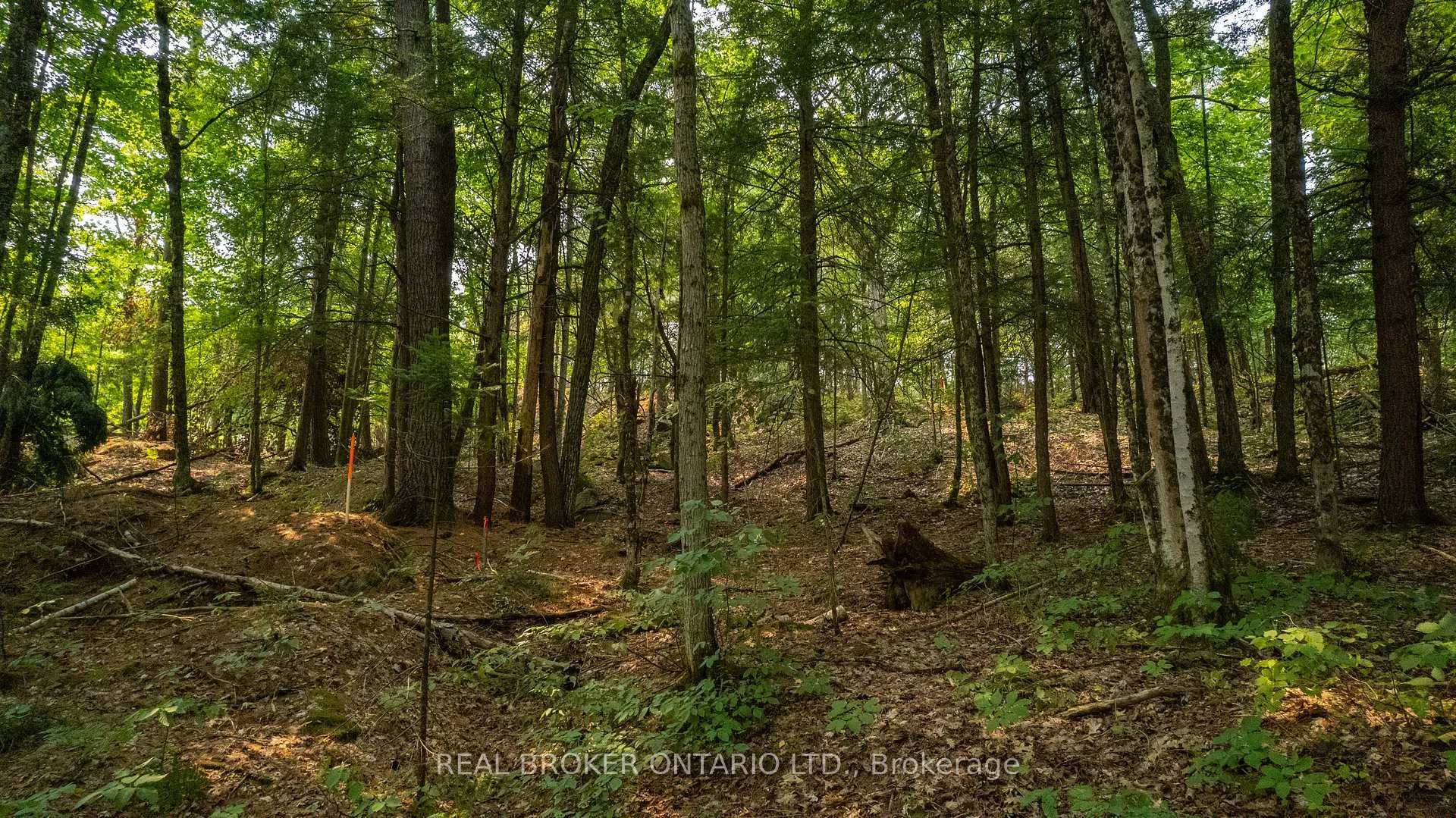 Photo 16 of Lot 13 4 Wheel Drive, Gravenhurst, Wood (Gravenhurst) — HOMEH