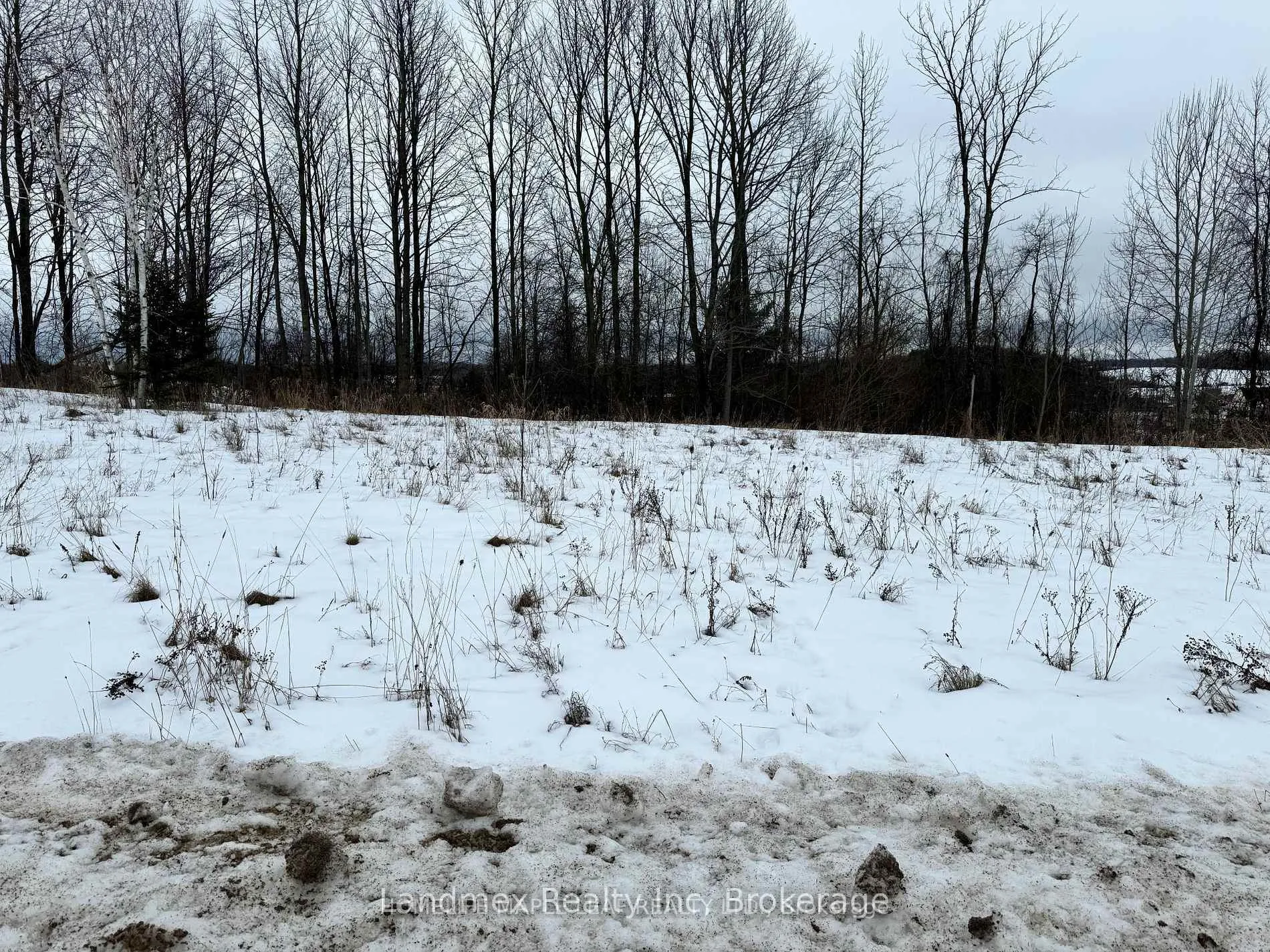 Photo 2 of 9 Caldwell Drive, Oro-Medonte, Rural Oro-Medonte — HOMEH