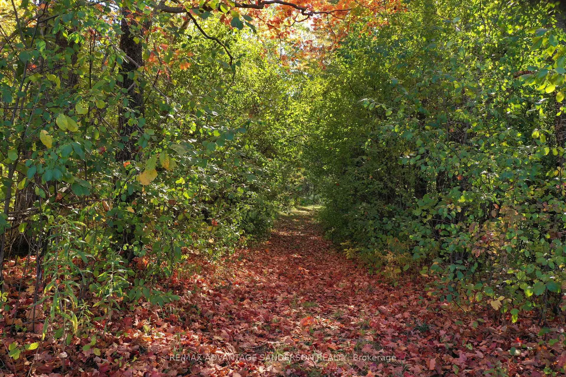 Photo 18 of 13157 Medway Road, Middlesex Centre, Rural Middlesex Centre — HOMEH