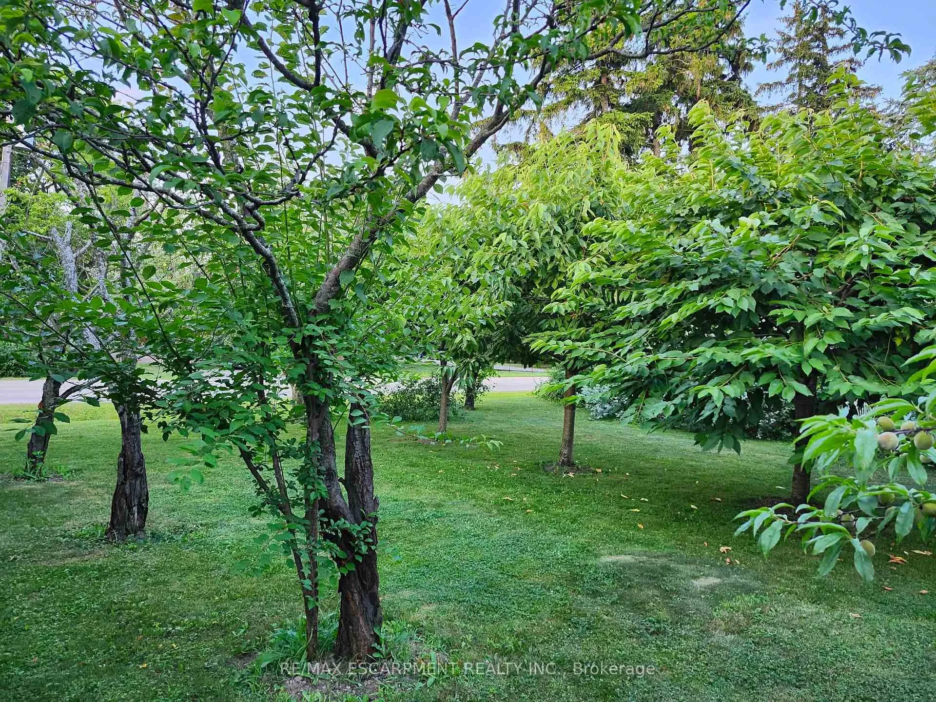 Photo 39 of 1549 Guyatt Road, Hamilton, Rural Glanbrook — HOMEH