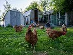 Photo 26 of 2606 Crossland Road, Springwater, Rural Springwater — HOMEH