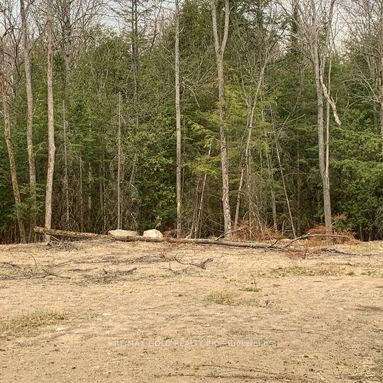 Photo 5 of 5 Mountain Basin Drive, McDougall — HOMEH