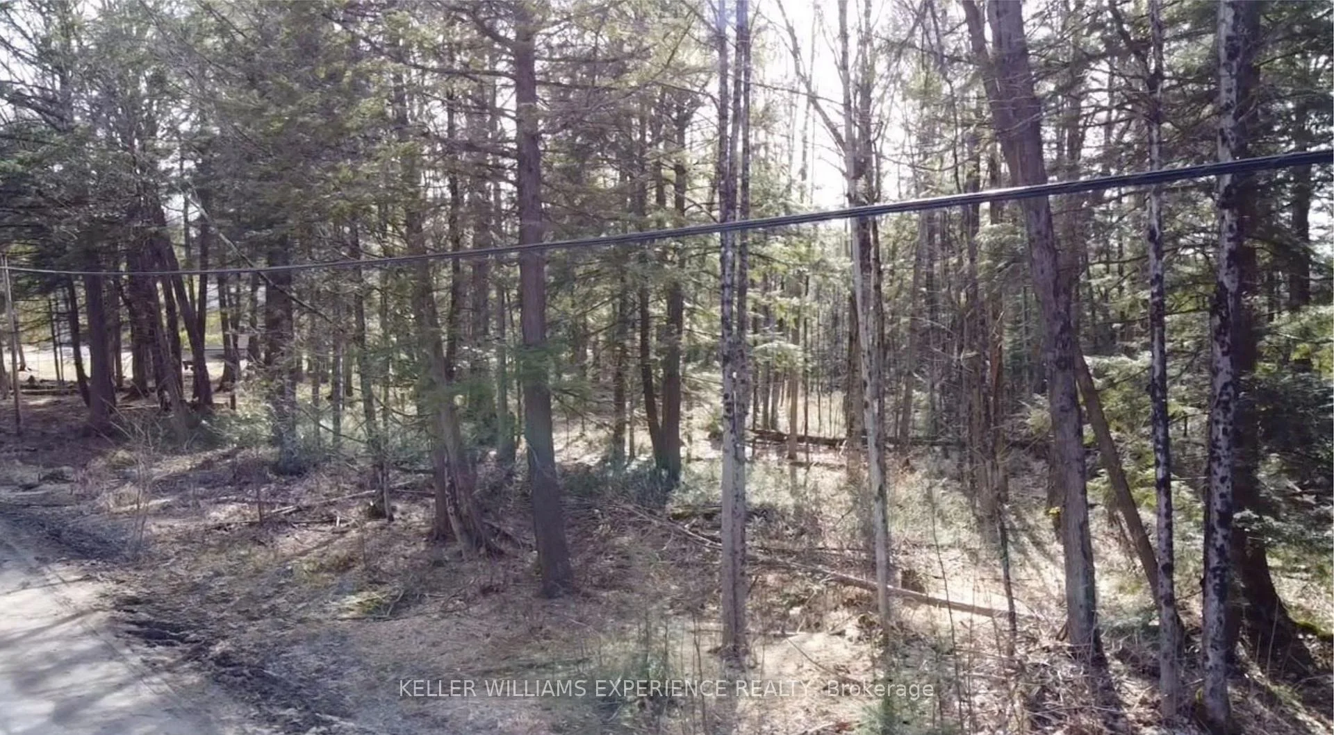 Photo 5 of 1042 Art Crisp Road, Gravenhurst, Morrison — HOMEH