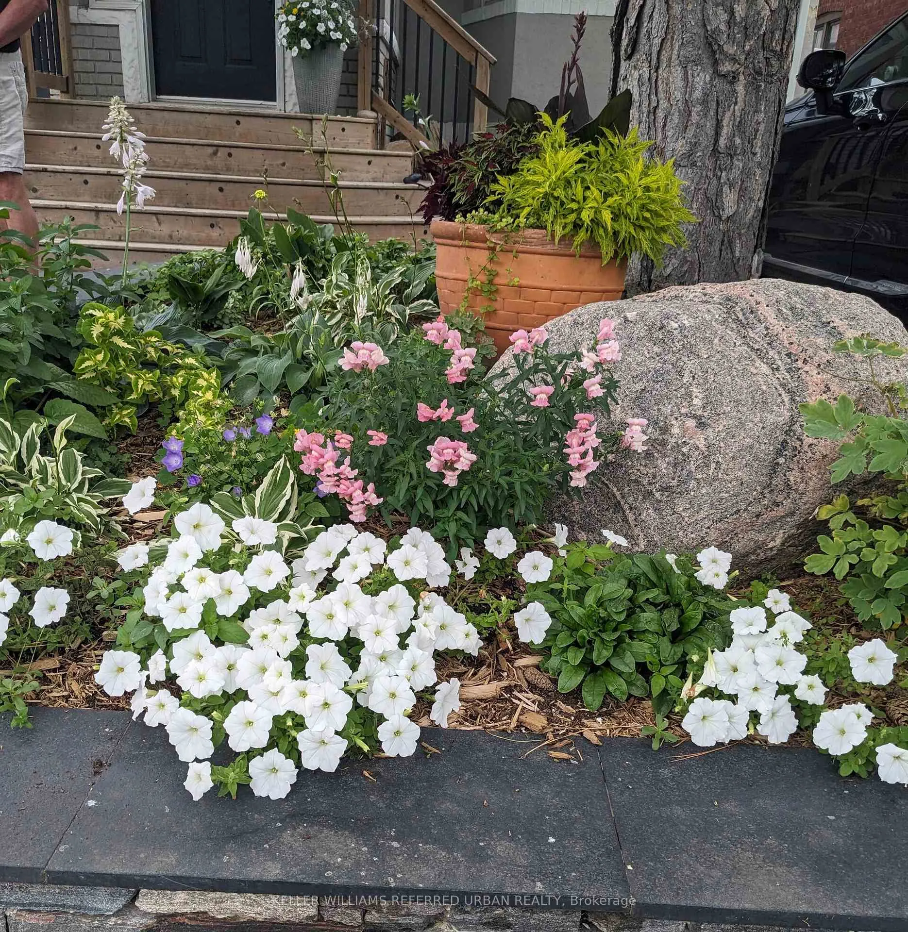 Photo 42 of 29 Thurston Road, Toronto, Mount Pleasant East — HOMEH