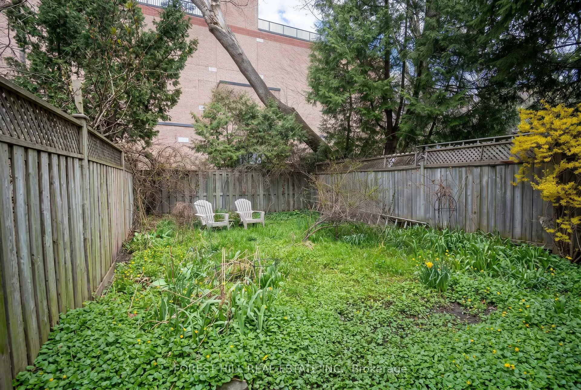 Photo 18 of 20 Webster Avenue, Toronto, The Annex — HOMEH